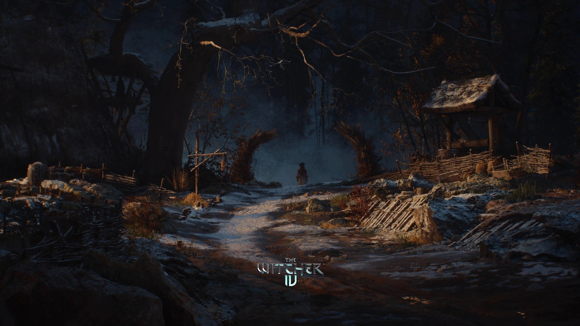 The Witcher 4 artwork