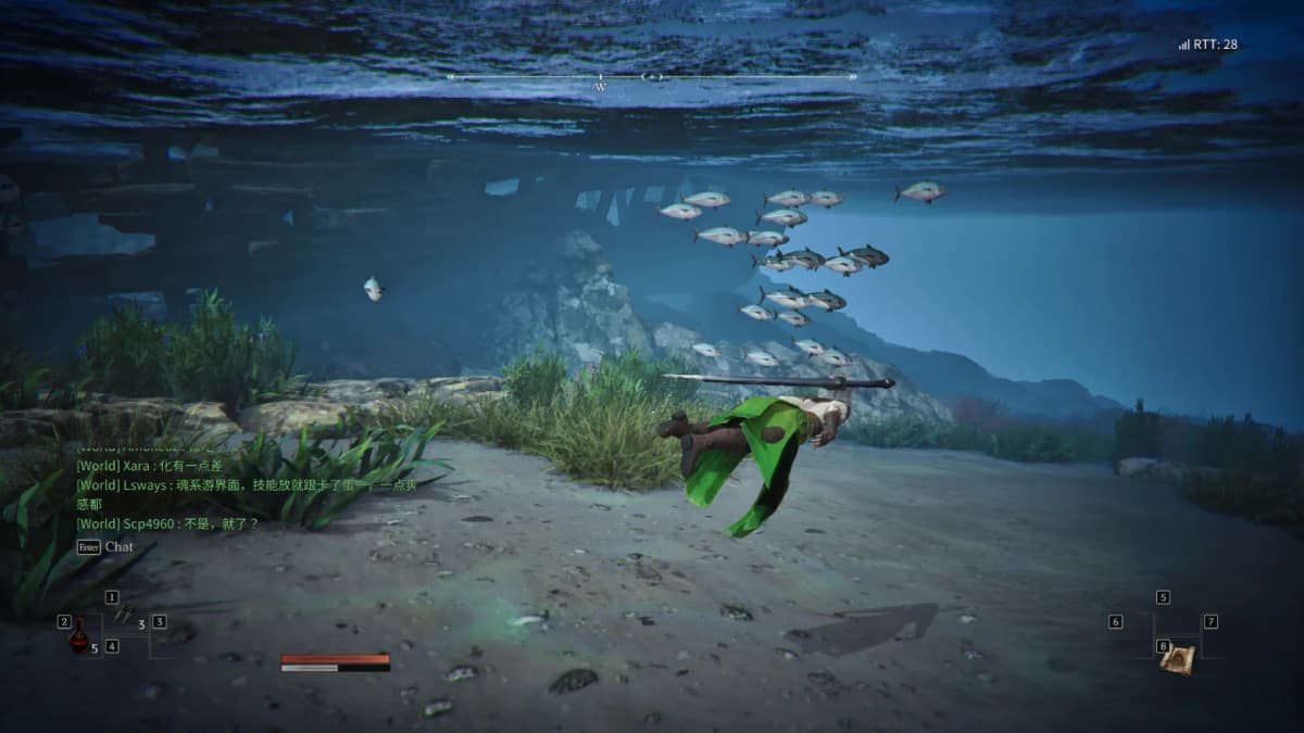 You can swim, and the water is full of life 1