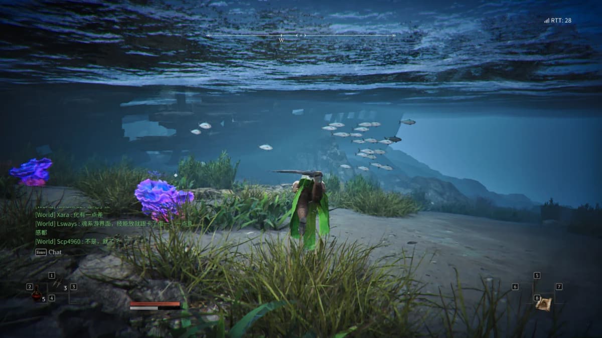 You can swim, and the water is full of life 4