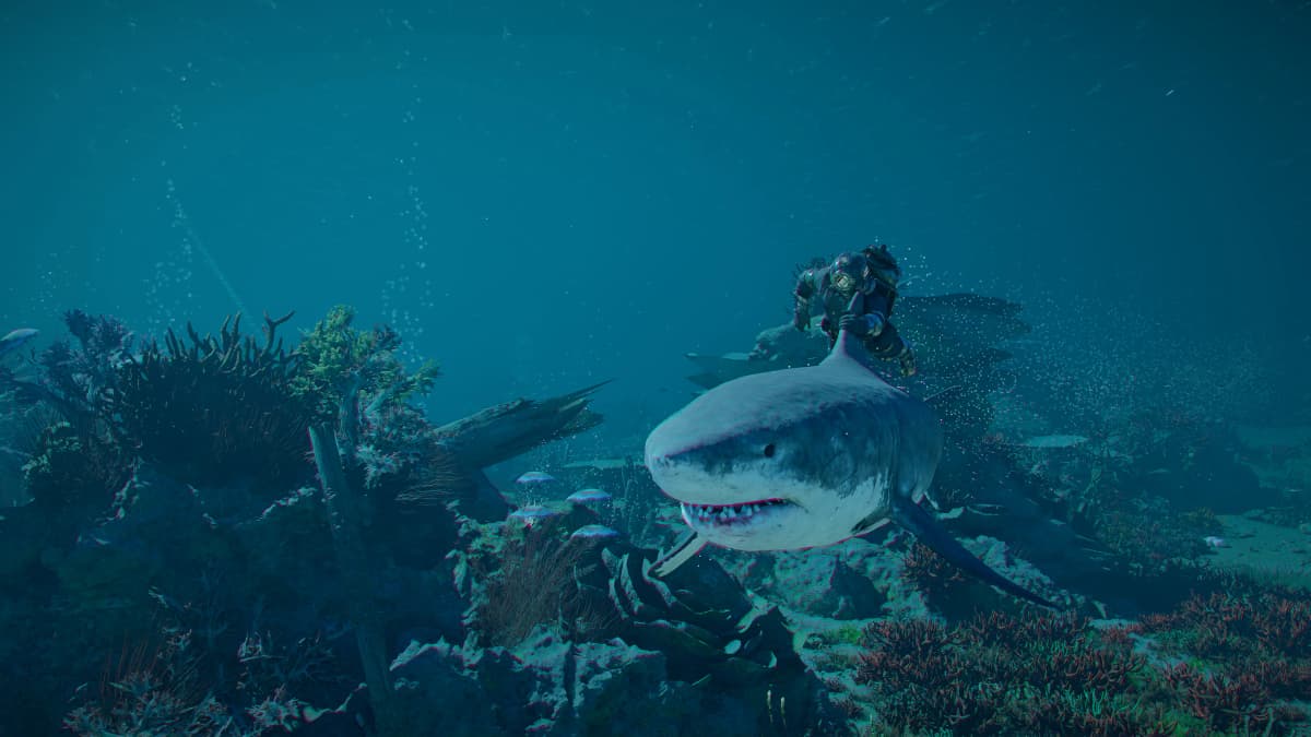 An armored character rides a shark above a coral covered seabed in Crimson Desert: Charting the Unknown.