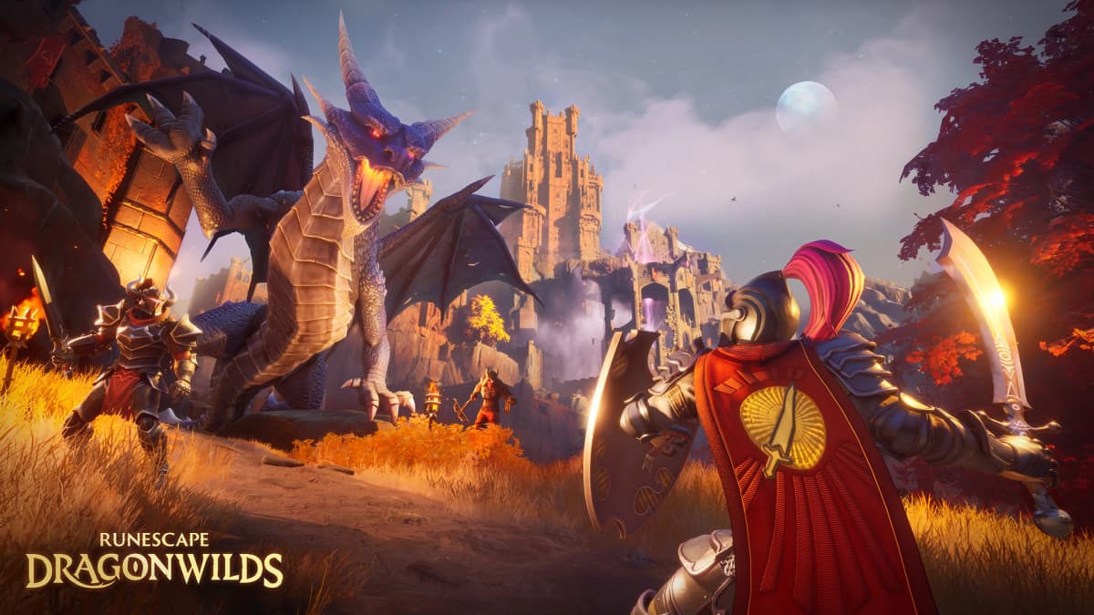 A RuneScape Dragonwilds adventurer facing a dragon in the wilderness of Ashenfall.