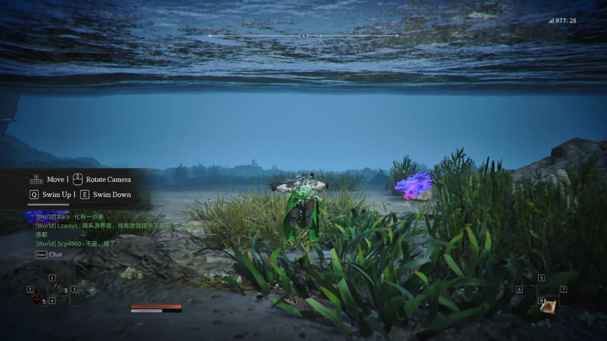 You can swim, and the water is full of life 3